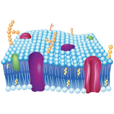 生物医学之家