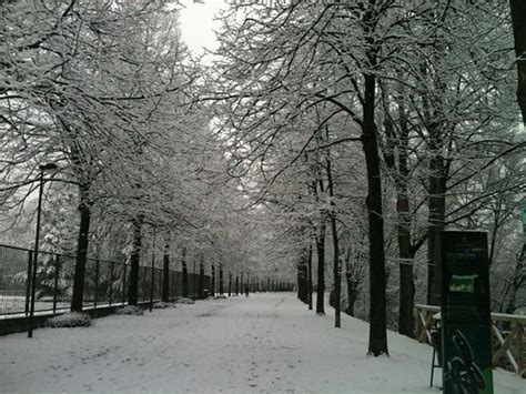 La Nevicata Di Elettra Borsella La Nevicata Genitori Marconi