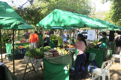 S Bado Dia De Feira Agroecol Gica Rea Adahil Barreto Do Parque