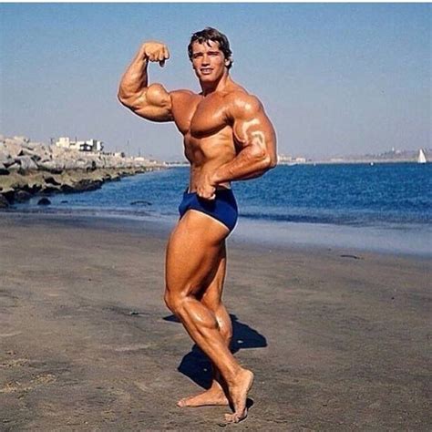 Here S Everything You Need To Know To Actually Put On Muscle Arnold