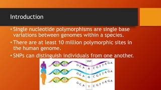 SNP Detection Methods and applications | PPTX 