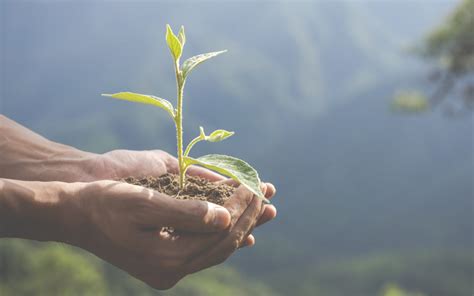 Comprometidos Con La Sostenibilidad Para El Cuidado Del Medio Ambiente