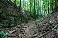 Burgenwelt Holter Burg Deutschland