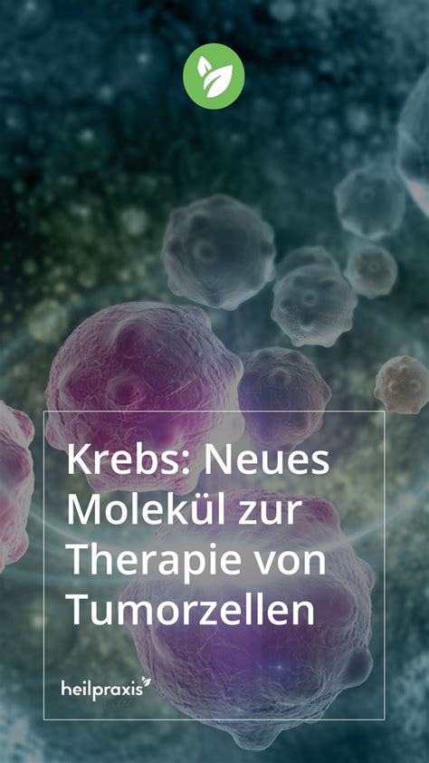 Krebs Neues Molek L Zur Therapie Von Tumorzellen Therapie