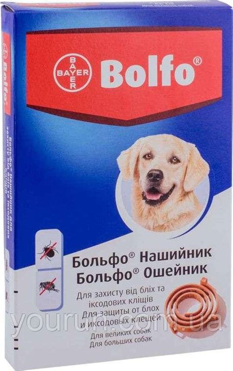 BAYER BOLFO (Больфо) ошейник 66 см: продажа, цена в Киеве ...