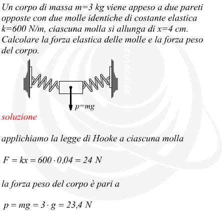 Allungamento Di Due Molle A Cui Viene Appesa Una Massa