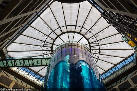 Massive Berlin Aquarium Bursts