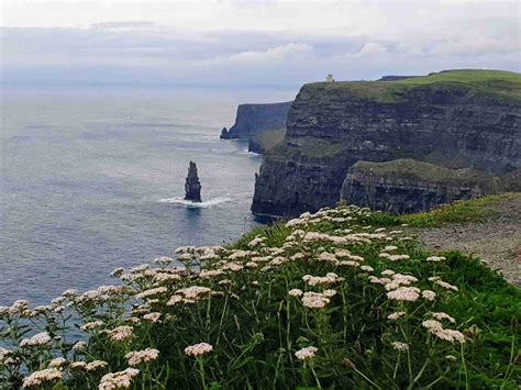 Cliffs of Moher Tour - Custom Irish Tours