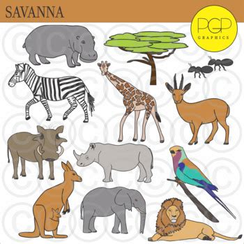 Savanna Animals Clipart Cartoon