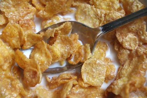 New Cereal: Kellogg's Cinnamon Frosted Flakes Review!