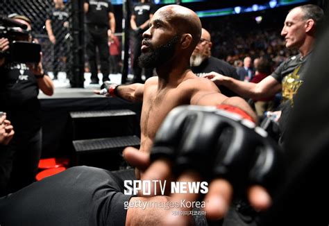 Ufc 대표 존슨 Vs 딜라쇼 무산밴텀급 타이틀전 추진