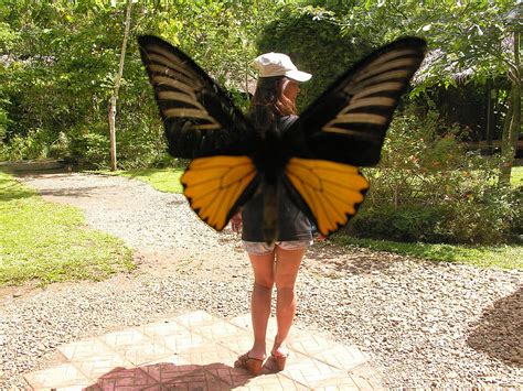 Tour To The Bohol Butterfly Sanctuary Bohol Tour Packages