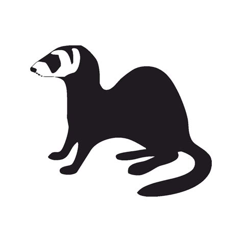 Black-footed ferret Stoat Silhouette Least weasel - ferret png download ...