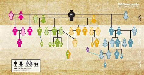 DNA ajuda a desvendar árvore genealógica mais antiga já registrada ...