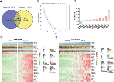 Identification Of Tme Related Signature A Venn Diagram Showed The Download Scientific Diagram