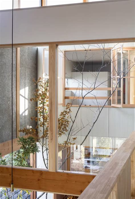 minimal japanese home   indoor garden  designed