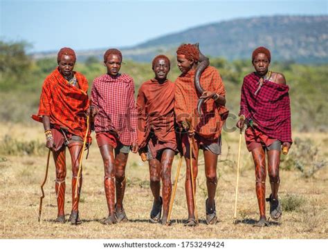 72,673 Indigenous To Africa Images, Stock Photos & Vectors | Shutterstock