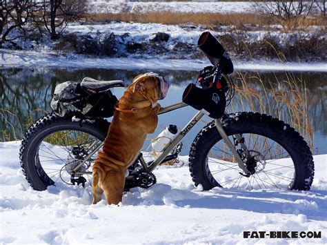 Wallpaper Wednesday Jean Wants A Ride Fat Bikecom