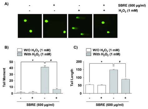 Protection Of H2O2 Induced DNA Damage By SBRE In HaCaT Keratinocyte