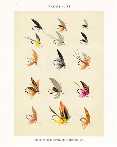 C F Orvis Fly Fishing Print With Flies For Trout Anglers Etsy