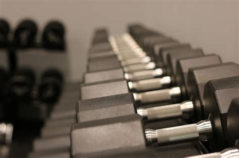 Effective Muscle Building Equipment In The Gym - GSTC Blog