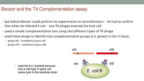 Lecture Snps Linkage Positional Cloning Mapping Within