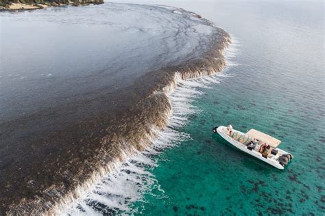 Cygnet Bay Pearl Farm Sea Safari Waterfall Reef Tour Destination Broome