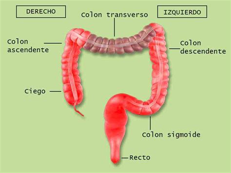 Detecci N C Ncer Colorrectal En Farmacias