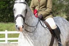 Amateur Lightweight Cob Championship RIHS Who S Qualified