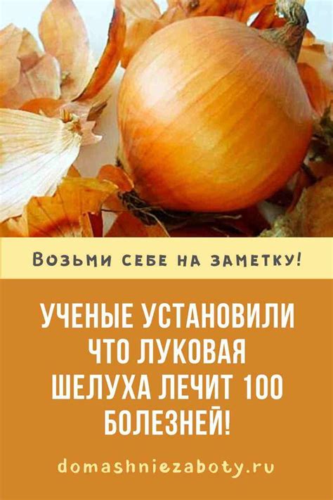 Ученые установили что луковая шелуха лечит 100 болезней! | Траволечение ...