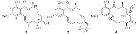 Three New βResorcylic Acid Lactones from Paecilomyces sp SC0924 Xu