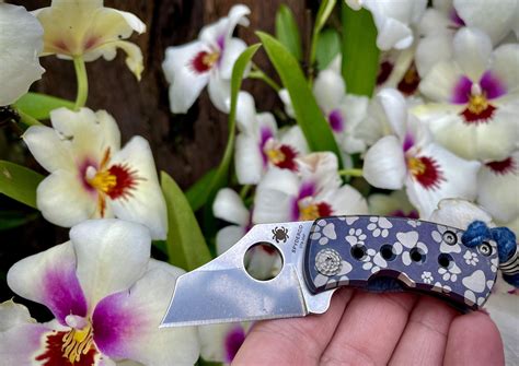 McBee appreciation post! : r/spyderco