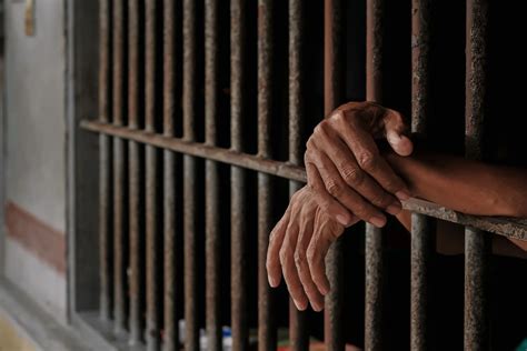 Заключенный организовал аферу с «пожертвованиями солдатам» прямо из тюрьмы