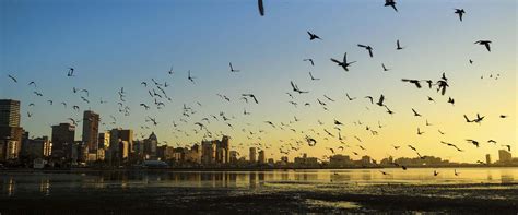 South Africa Public Holidays 2025 - PublicHolidays.co.za