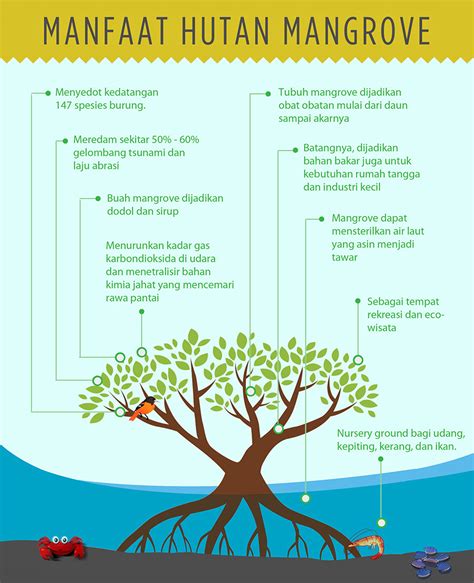 Manfaat Hutan Bakau Mangrove Definisi Pengertian Secara Umum Adalah