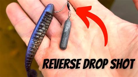 The Amazing Reverse Floating Drop Shot Rig Youtube