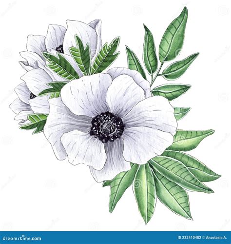 Hand Painted Watercolor Anemone Flowers Bouquet Stock Illustration