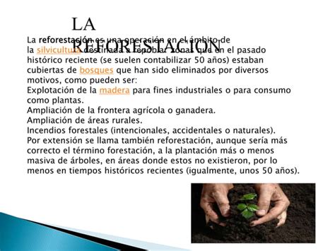 La Reforestacion Ppt