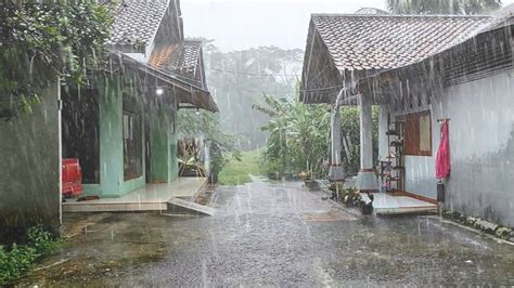 Super Heavy Rain And Strong Lightning In My Village Asmr Sleep