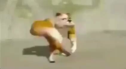 cursed_dog : r/cursed_videomemes