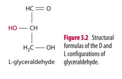 Biochem Chapter Subject Carbohydrates Madeline Flashcards Quizlet