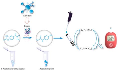 Chemosensors Free Full Text Sensing Of Digestive Enzymes—diagnosis