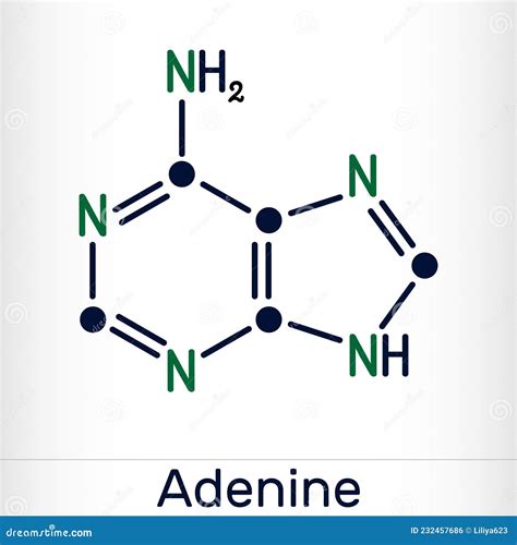 Adenine Ade Molecule It Is Purine Nucleobase Fundamental Unit Of The