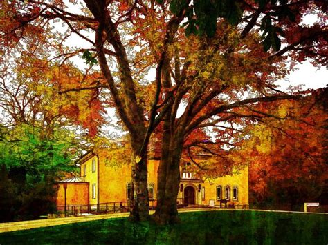 a place in the sun | Places, House styles, The good place