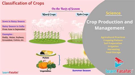 Crop Production And Management Grade 8 Science Full Chapter