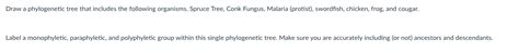 Solved Draw a phylogenetic tree that includes the following | Chegg.com 