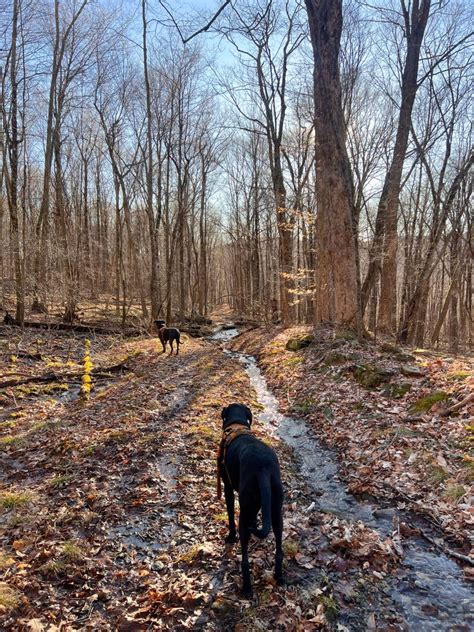 8 Beautiful River Walks & Trails in Connecticut