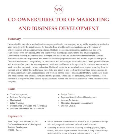 Director Of Marketing And Business Development Resume Example