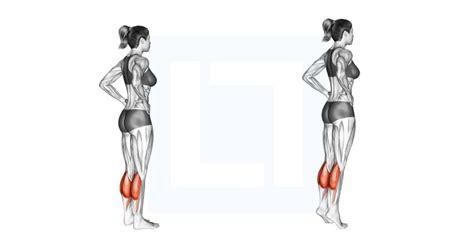 Dumbbell Standing Calf Raise Guide Benefits And Form