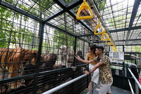 Taman Safari Prigen Info Lokasi Harga Tiket Terbaru